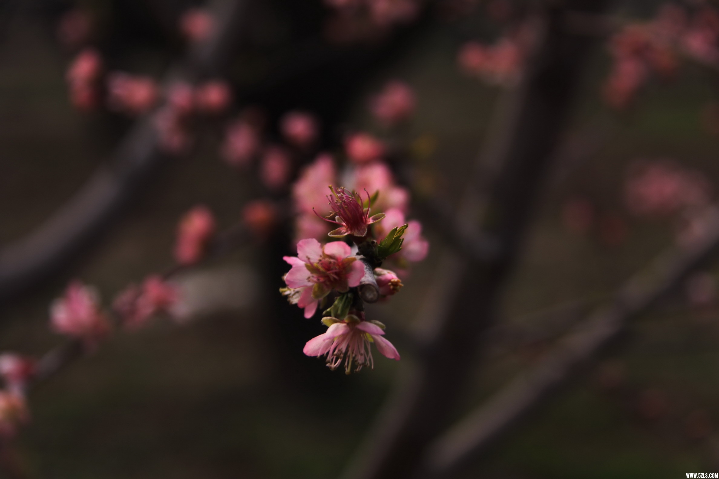 IMG_4110_缩小大小.jpg
