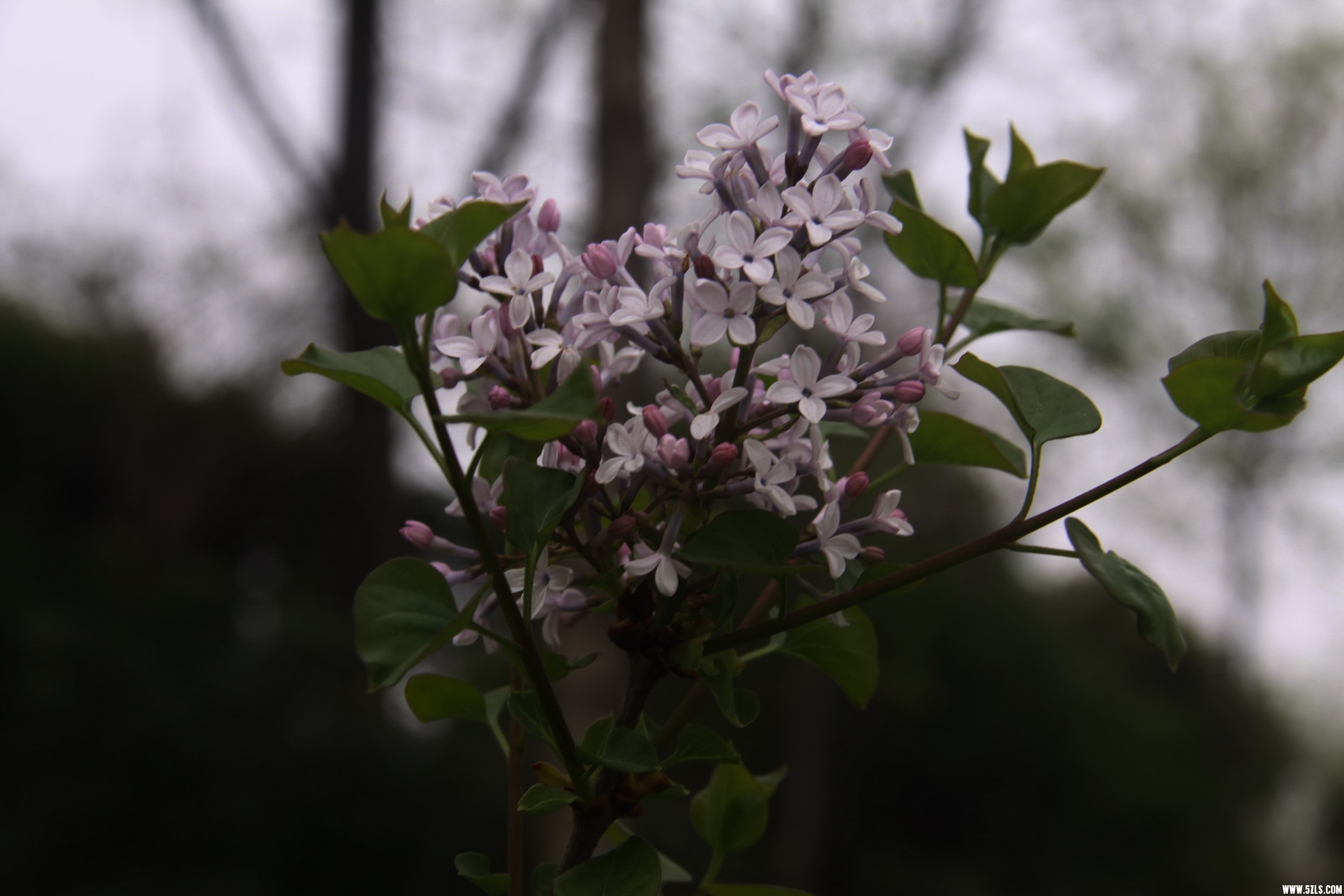 IMG_4363_缩小大小.jpg