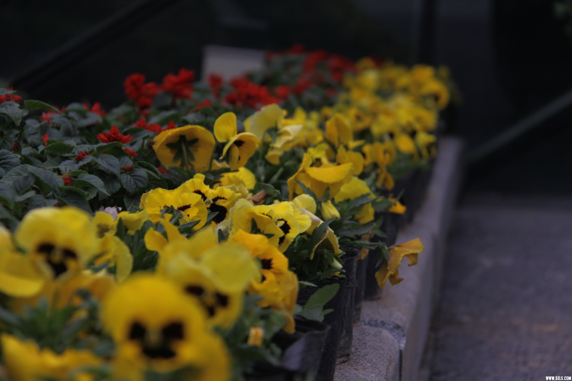 IMG_4500_缩小大小.jpg