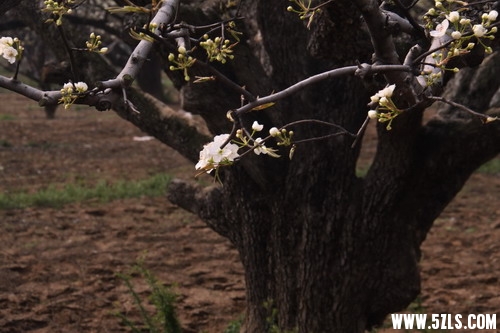 IMG_4077_缩小大小.jpg