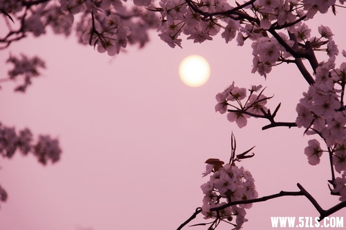 IMG_4233_缩小大小.jpg