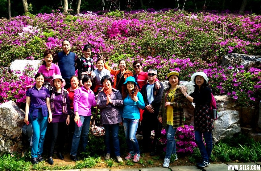 ½ļ (3)IMG_20150421_094450_.jpg