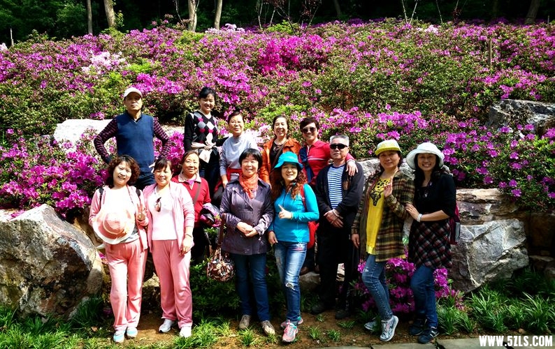 ½ļ (3)IMG_20150421_094423_.jpg