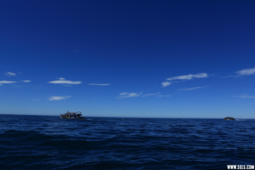 C08A9990.JPG