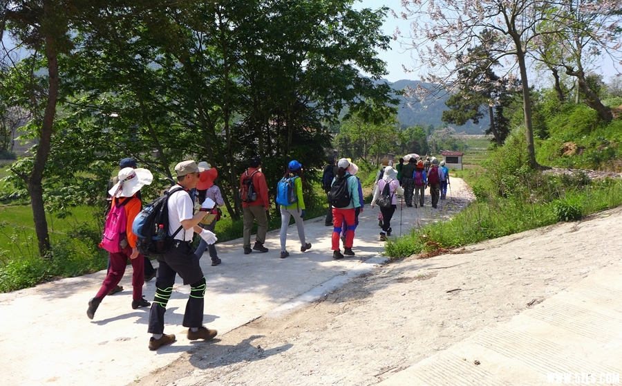 P1310499_.jpg