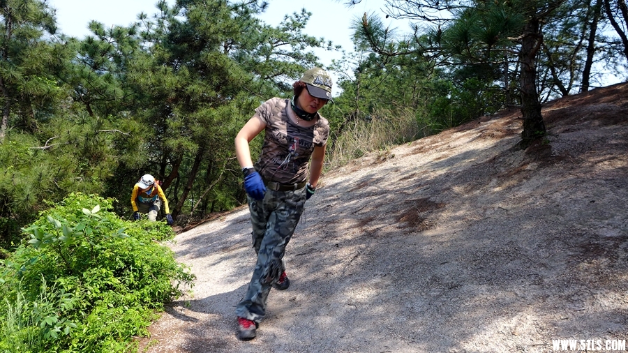P1310628_.jpg