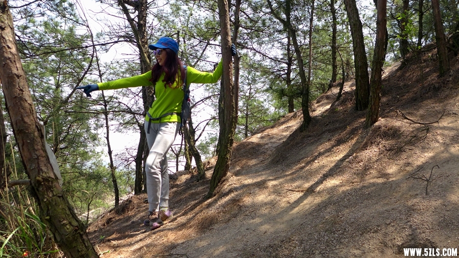 P1310640_.jpg