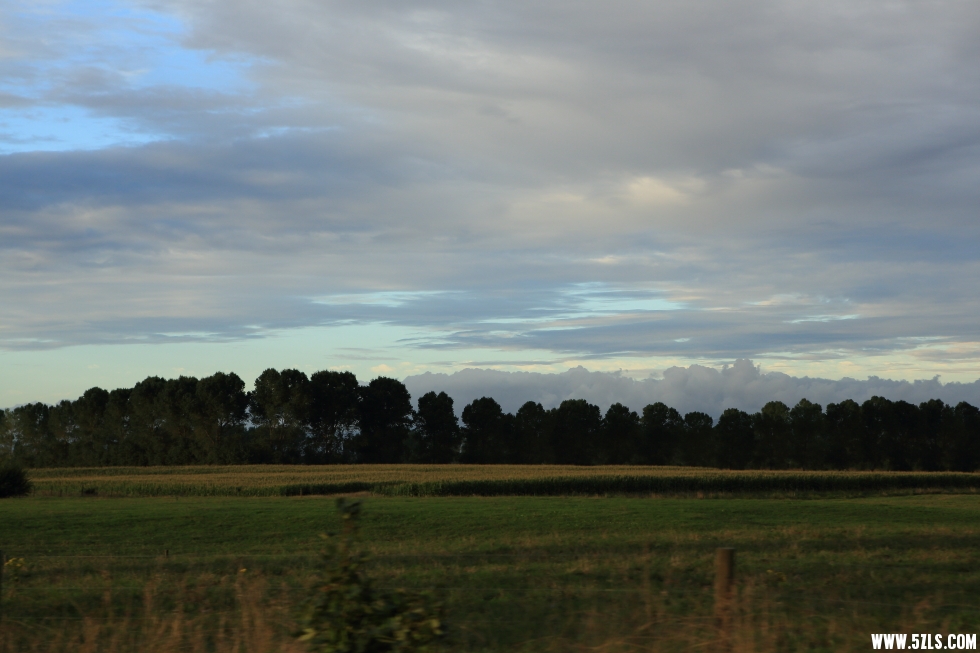 C08A0140.JPG