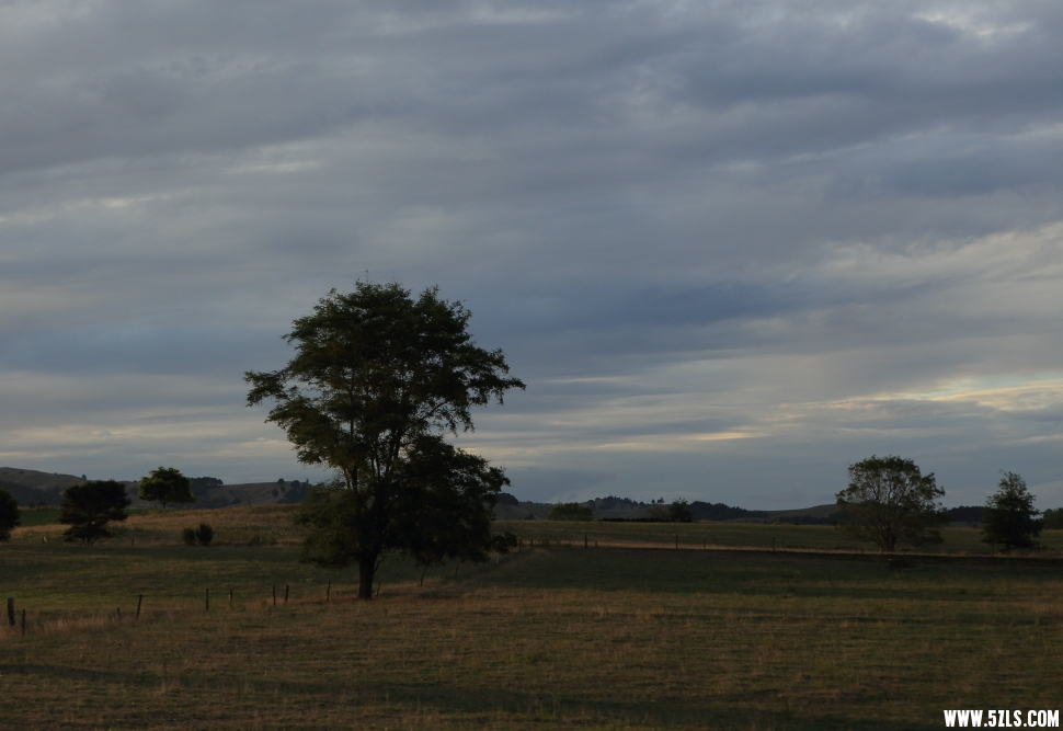 C08A0158.JPG