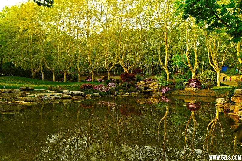 DSC_13311001.jpg