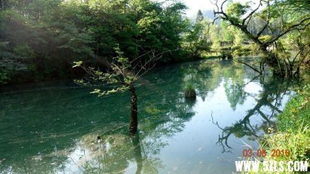 DSC01768__.jpg