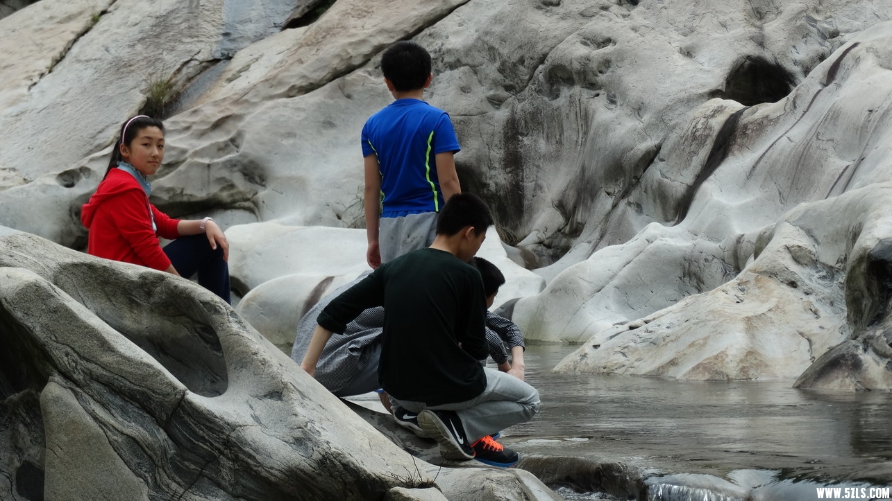 DSC01584_СС.JPG