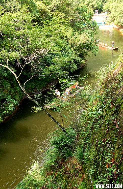 DSC_0124.jpg