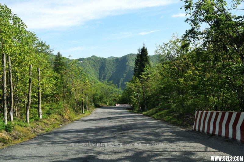 DSC_4561.JPG