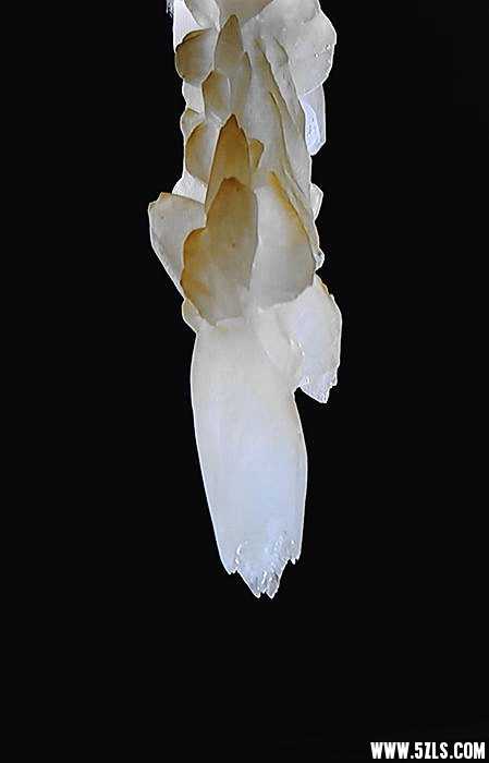 DSC_4163__.jpg