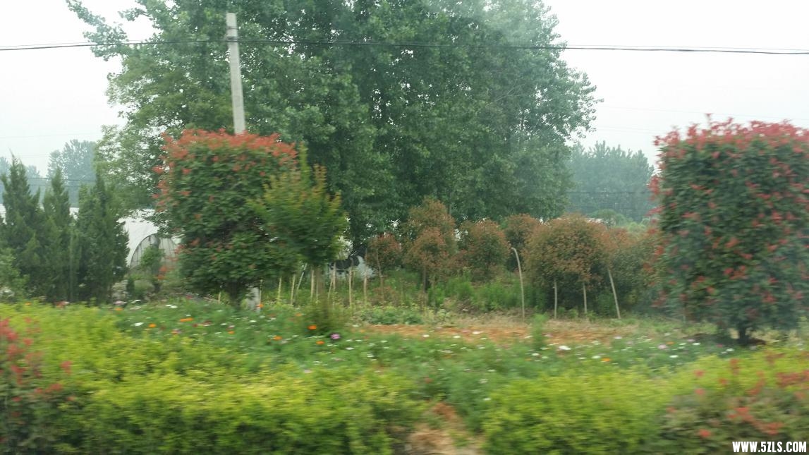 ͼƬ2.jpg