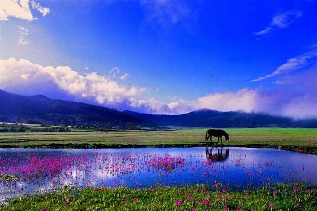 QQͼƬ20150409225452.jpg