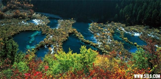 jiuzhaigoushuzhengqunhai.jpg