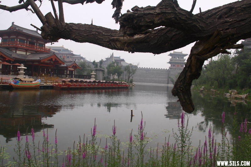 IMG_5800_缩小大小.jpg