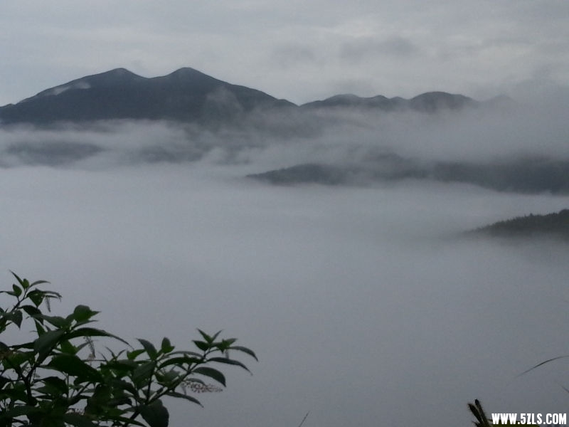20150622_080941.jpg