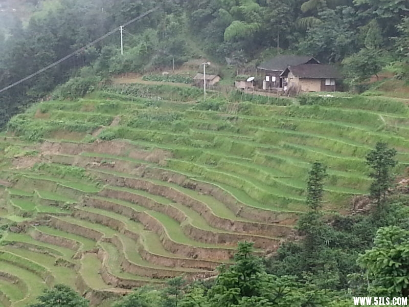 20150622_104352.jpg