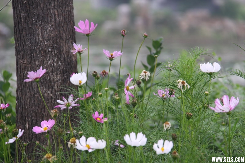 IMG_6016_缩小大小.jpg