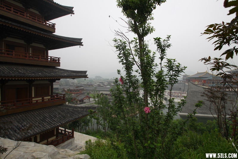 IMG_5867_缩小大小.jpg