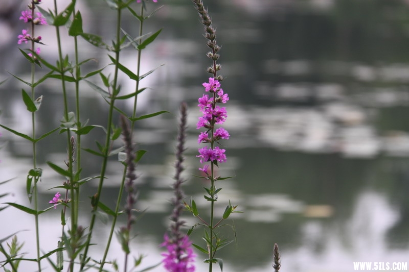 IMG_6007_缩小大小.jpg