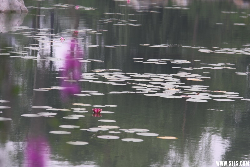 IMG_6008_缩小大小.jpg