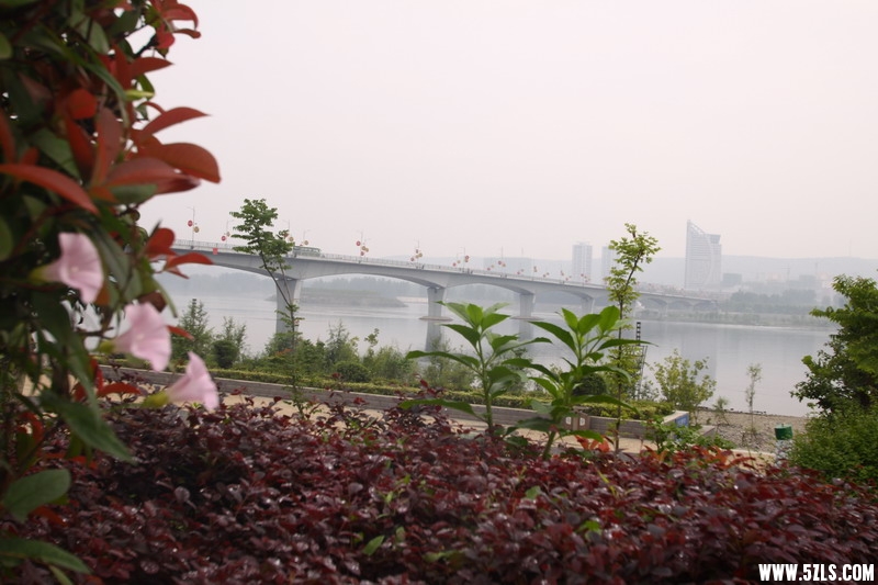 IMG_6120_缩小大小.jpg