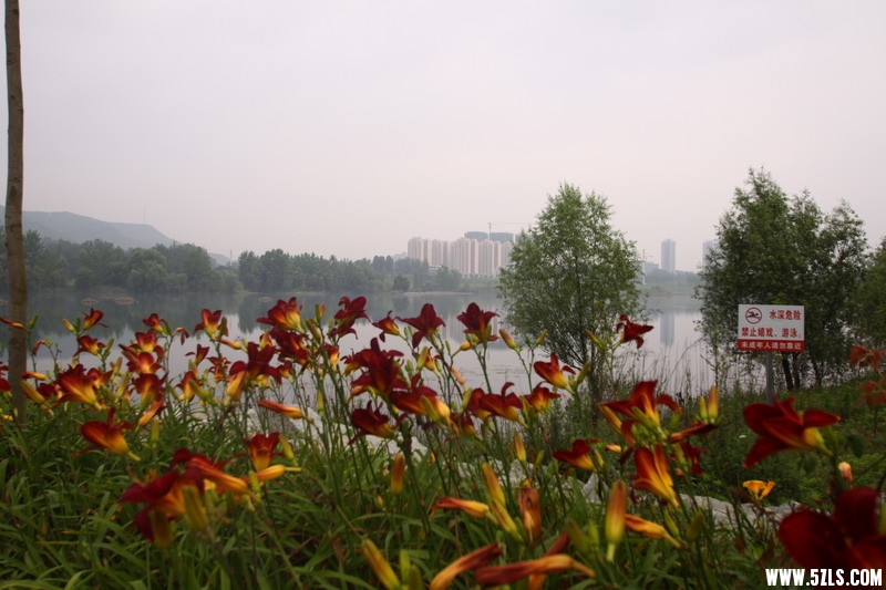 IMG_6133_缩小大小.jpg