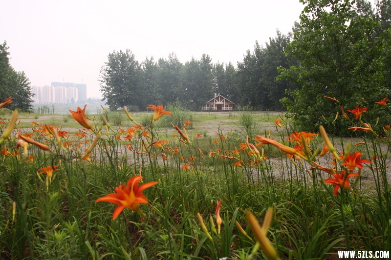IMG_6137_缩小大小.jpg