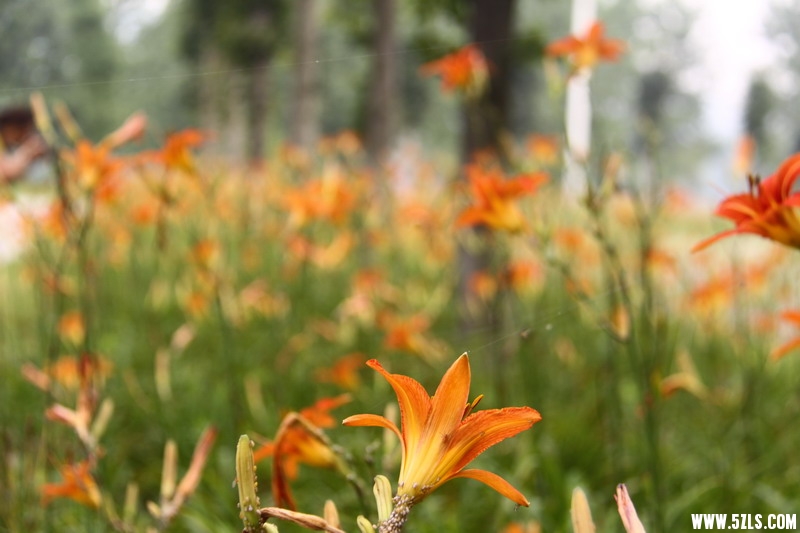 IMG_6140_缩小大小.jpg