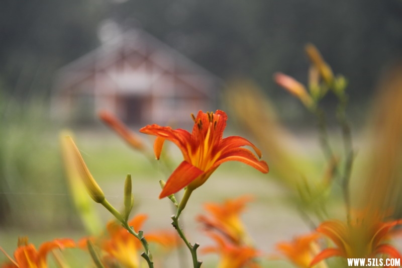 IMG_6141_缩小大小.jpg