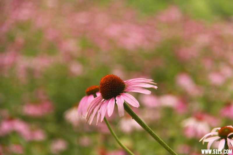 IMG_6149_缩小大小.jpg