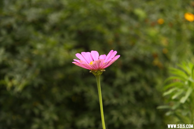 IMG_6188_缩小大小.jpg