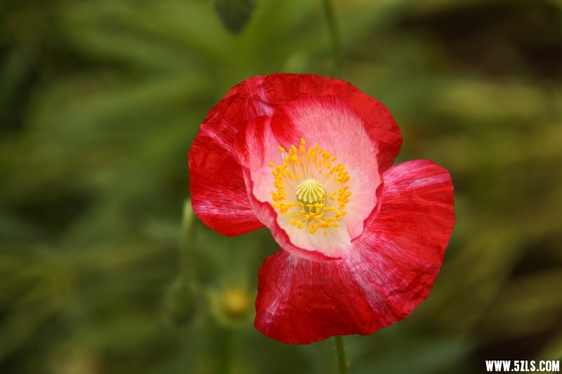 IMG_6189_缩小大小.jpg