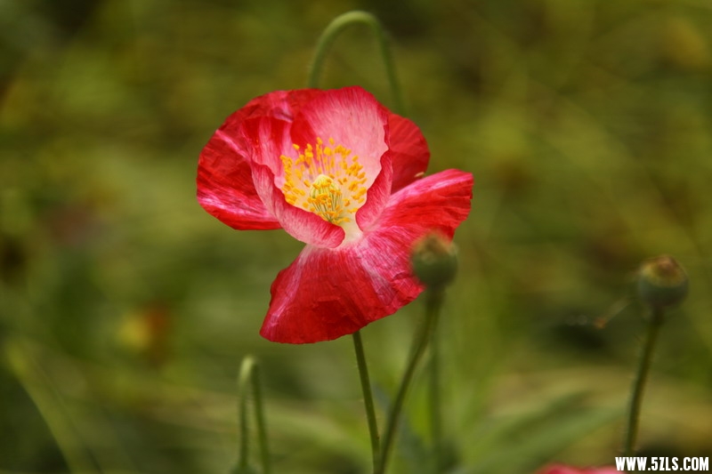 IMG_6191_缩小大小.jpg