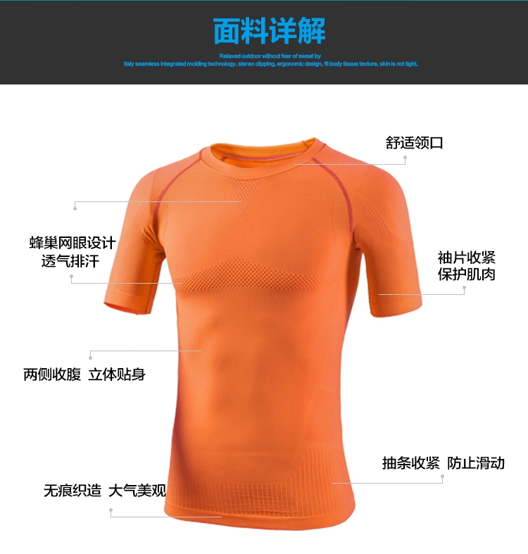 5562b715N5883e555.jpg