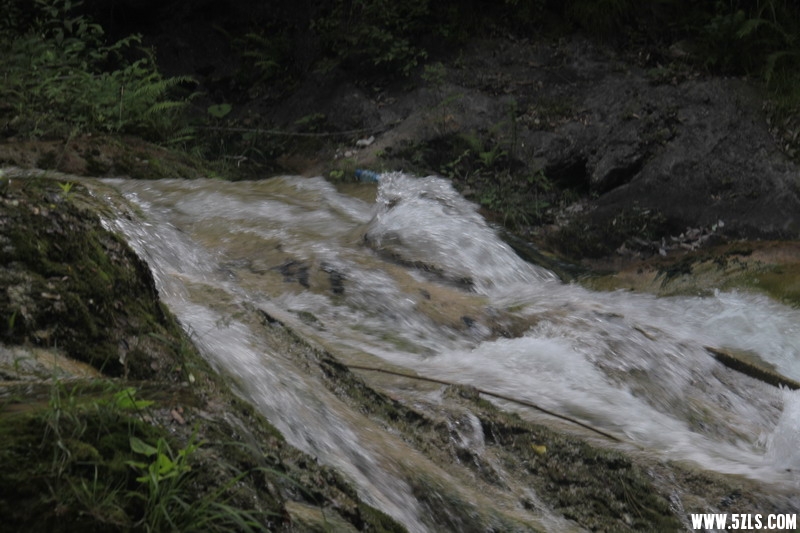 IMG_7736_СС.jpg