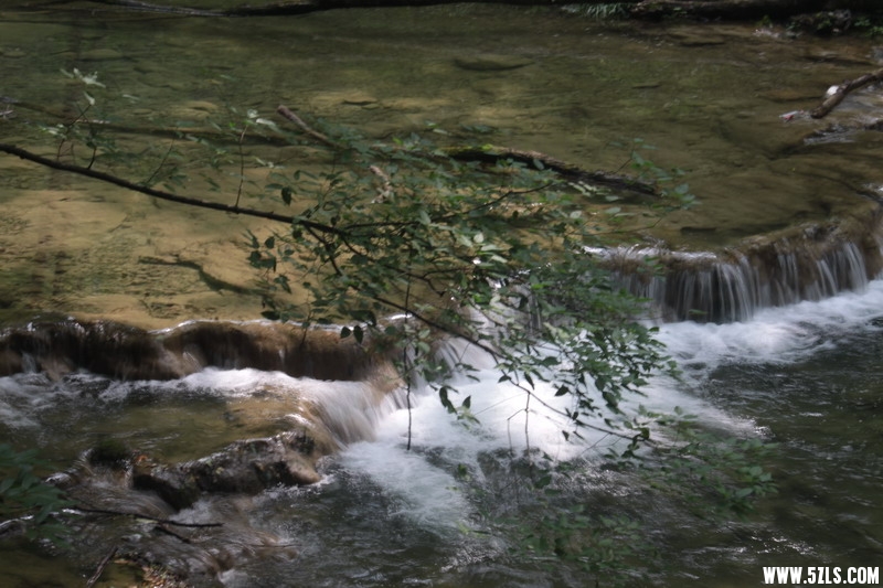 IMG_7826_СС.jpg