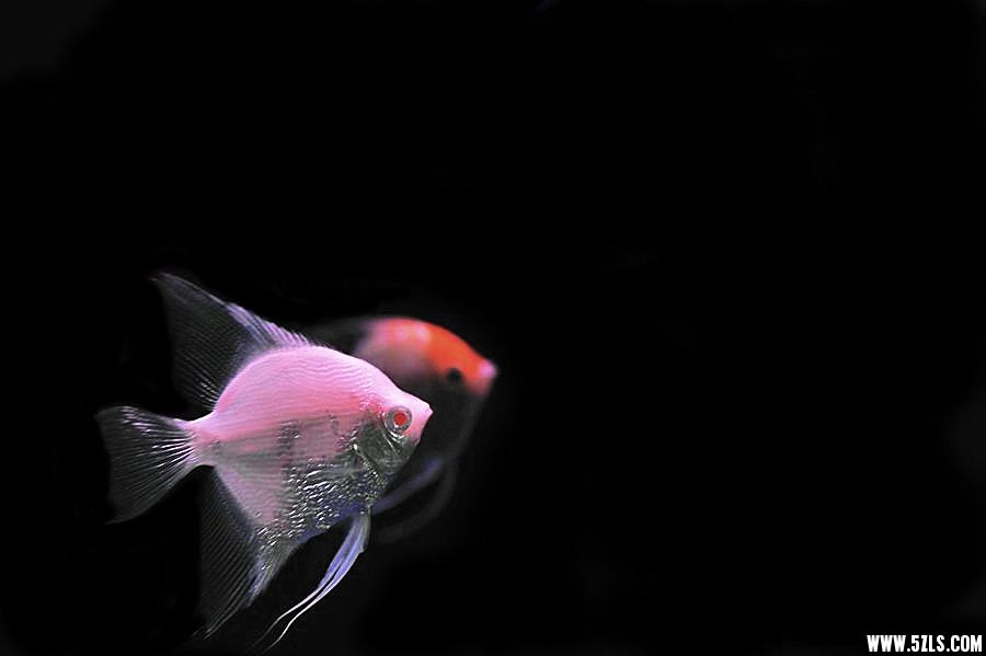 DSC_5809__.jpg