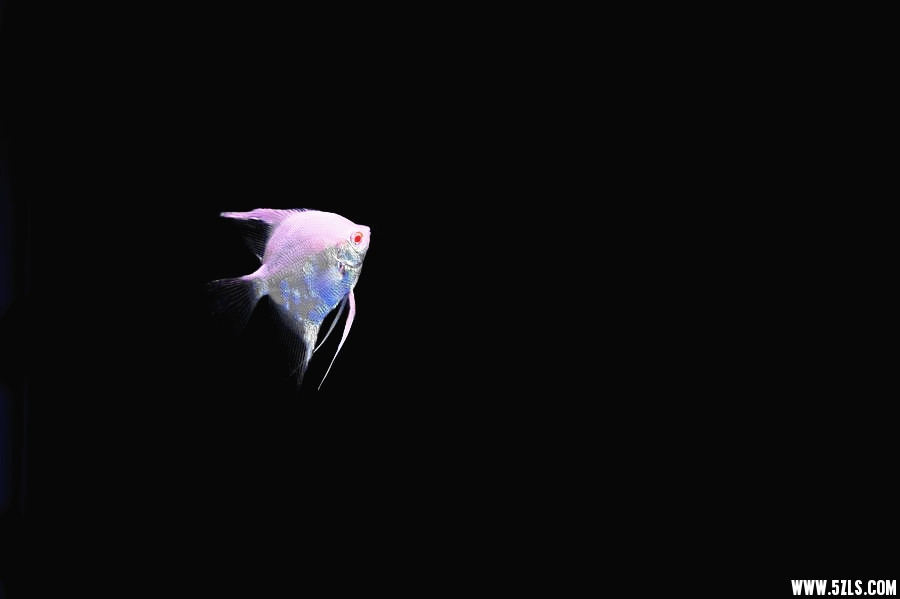DSC_5827__.jpg