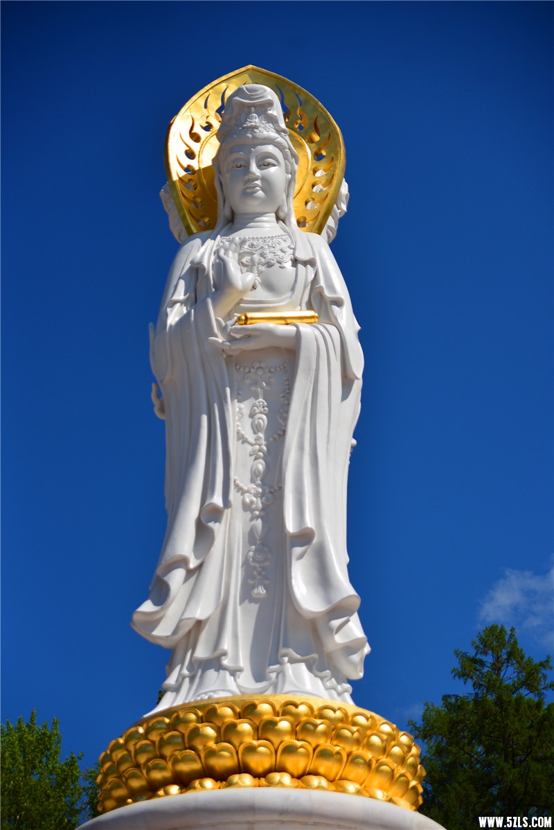 DSC_3145.jpg