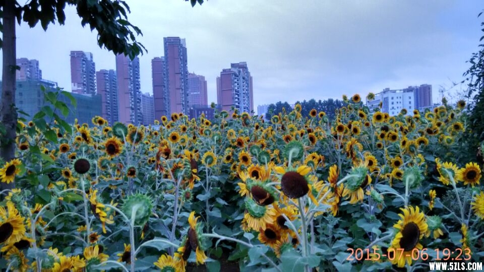 OZ)6SZVP4_57PAMF(FJRFZ2.jpg