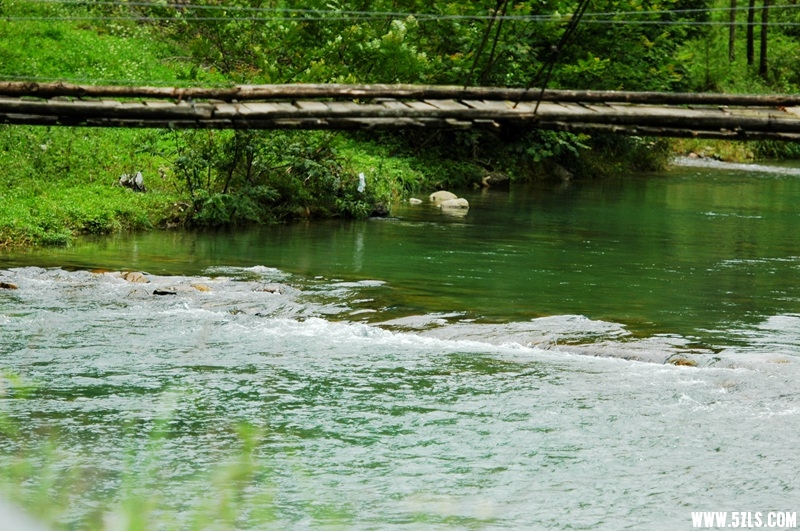 DSC_3736_.jpg