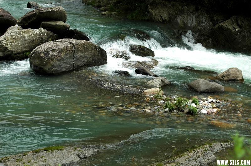DSC_3753_.jpg