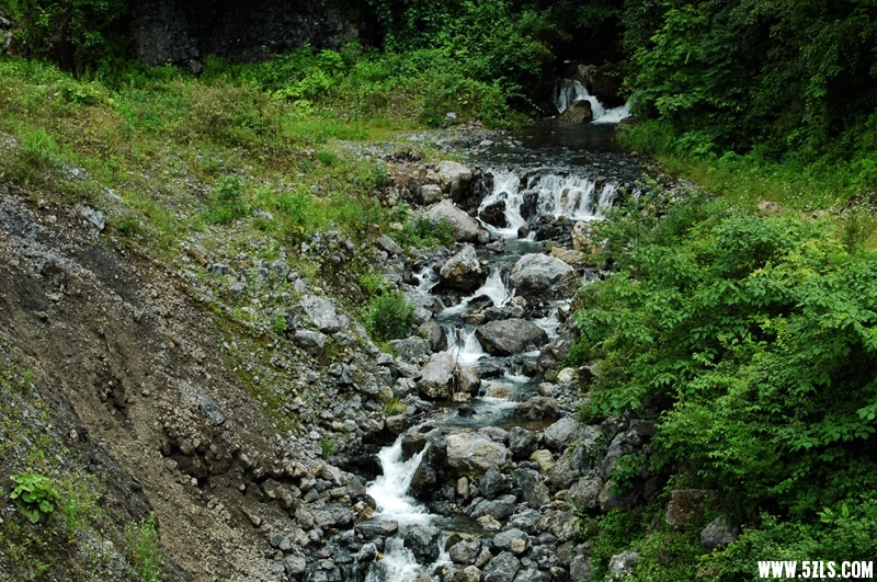 DSC_3810_.jpg