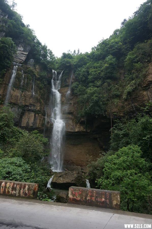 DSC06168_.jpg