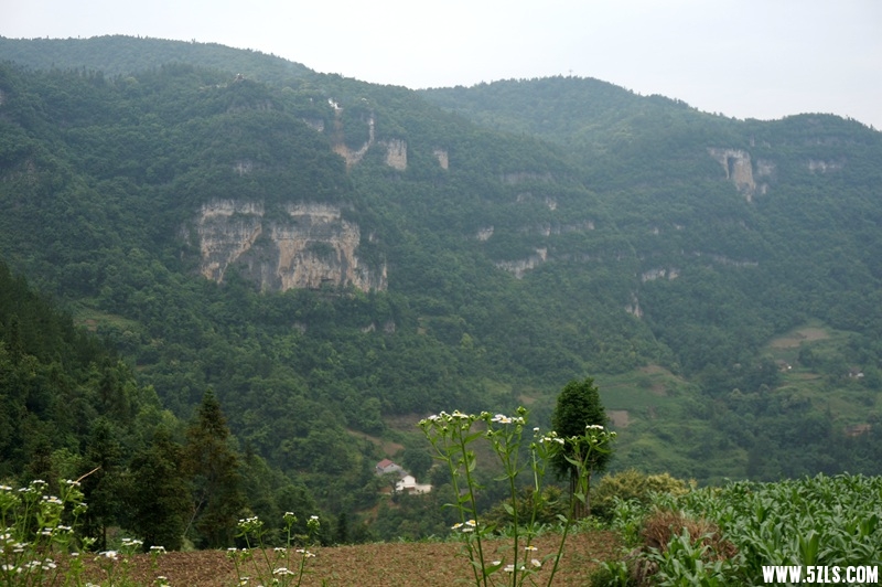 DSC06165_.jpg